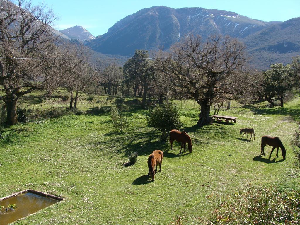 Fattoria Mongerrate Villa Isnello Exterior foto